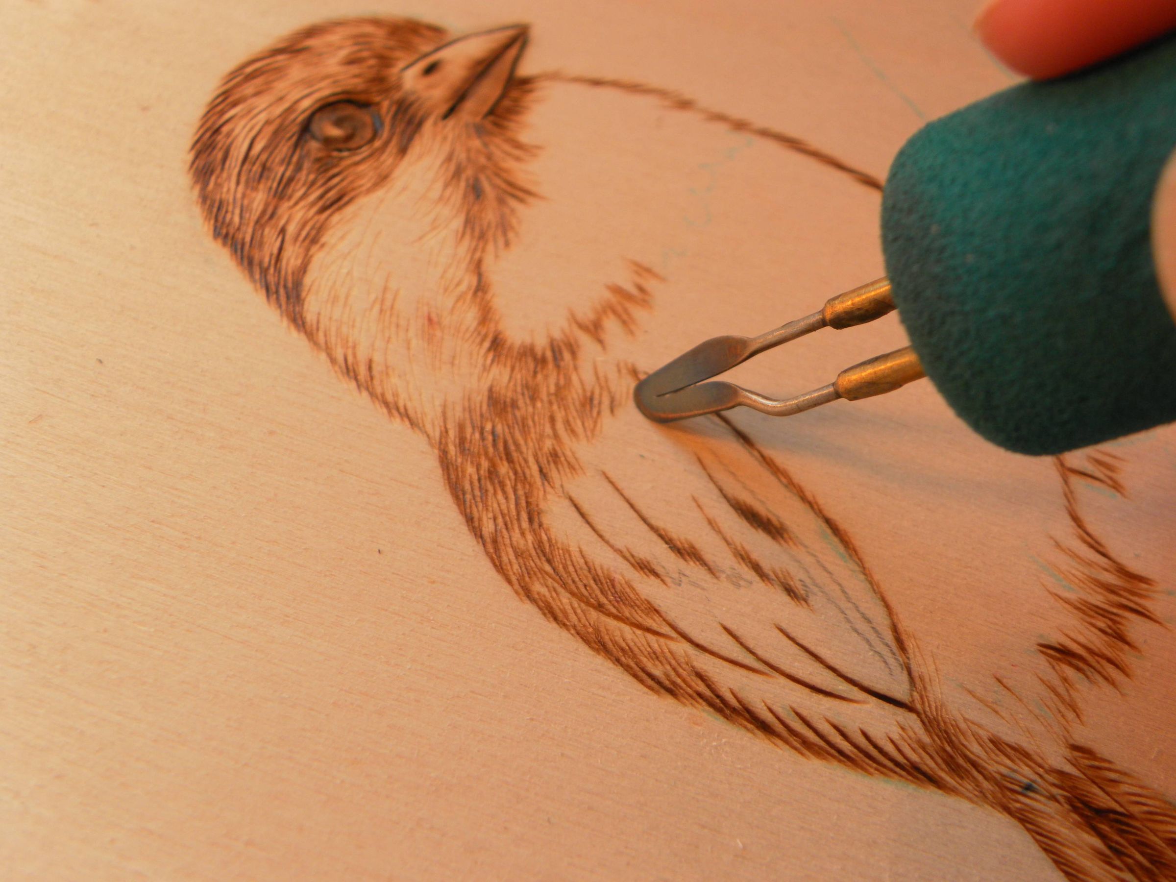 Pyrography: Step by Step Burn a Chickadee : 10 Steps (with Pictures) -  Instructables