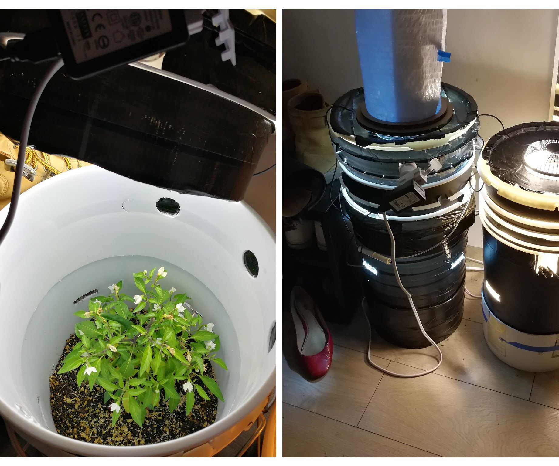 Grow Anything Grow Bucket for 50 13 Steps (with Pictures