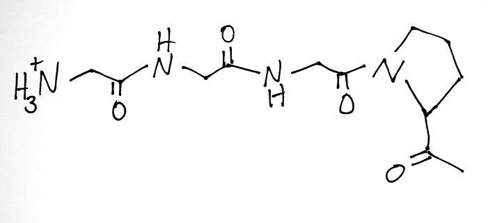 How To Draw Proline In A Peptide Chain - Draw Easy