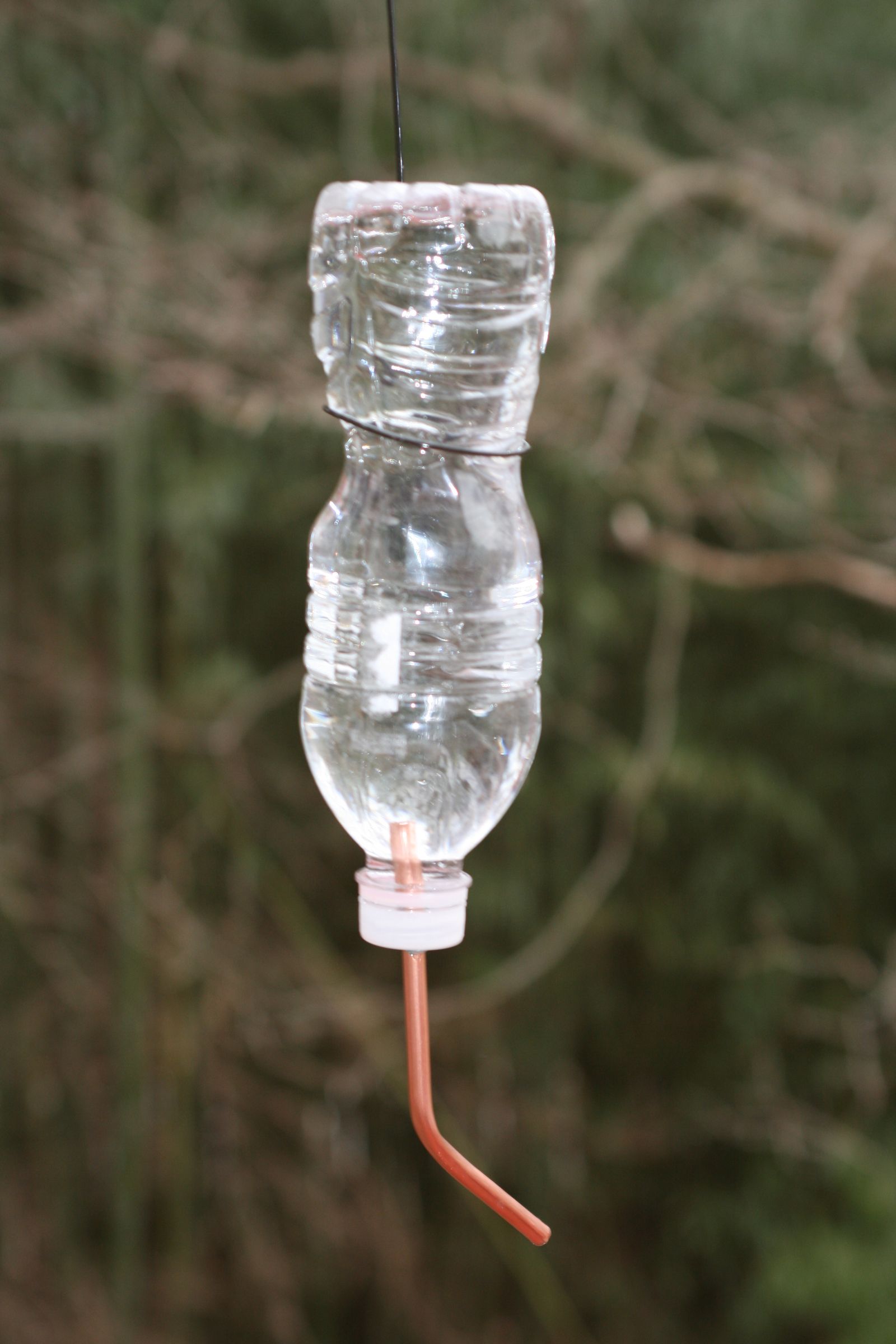 Water Bottle Hummingbird Feeder 8 Steps Instructables