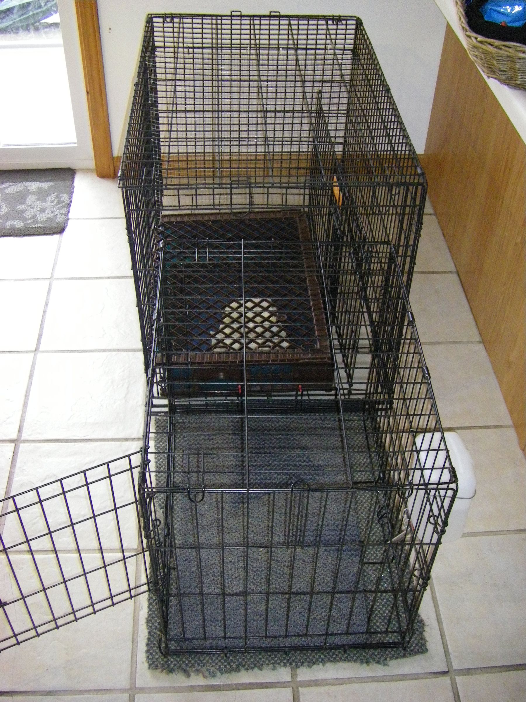 Indoor Dog Toilet 3 Steps Instructables