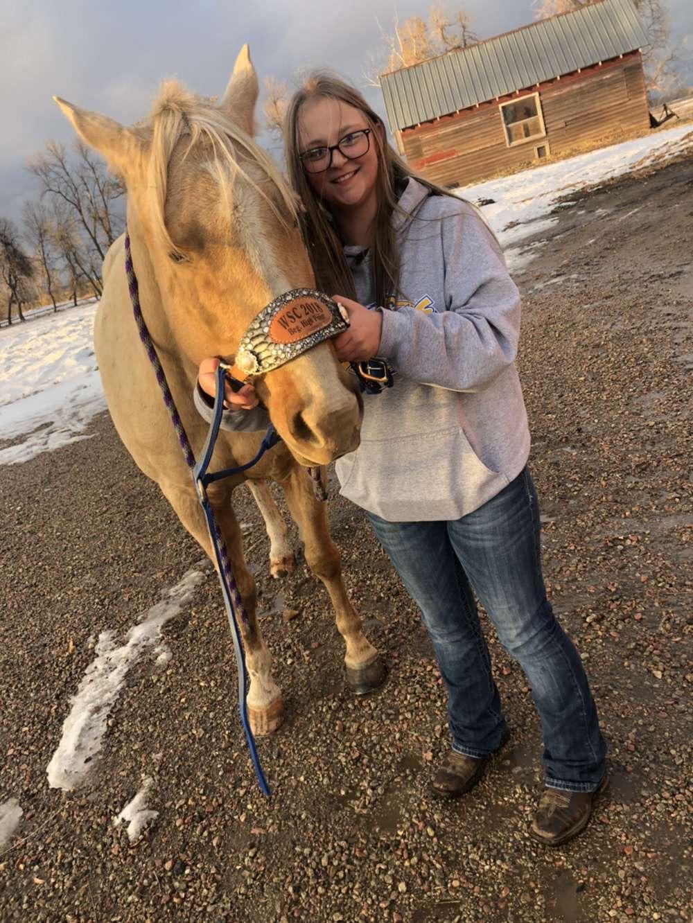 How to Properly Halter a Horse Introduction 5 Steps (with Pictures