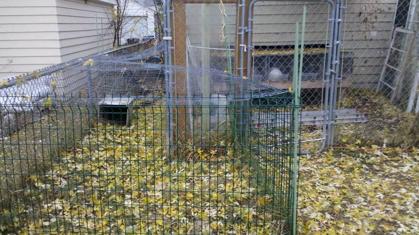 rabbit cage dividers