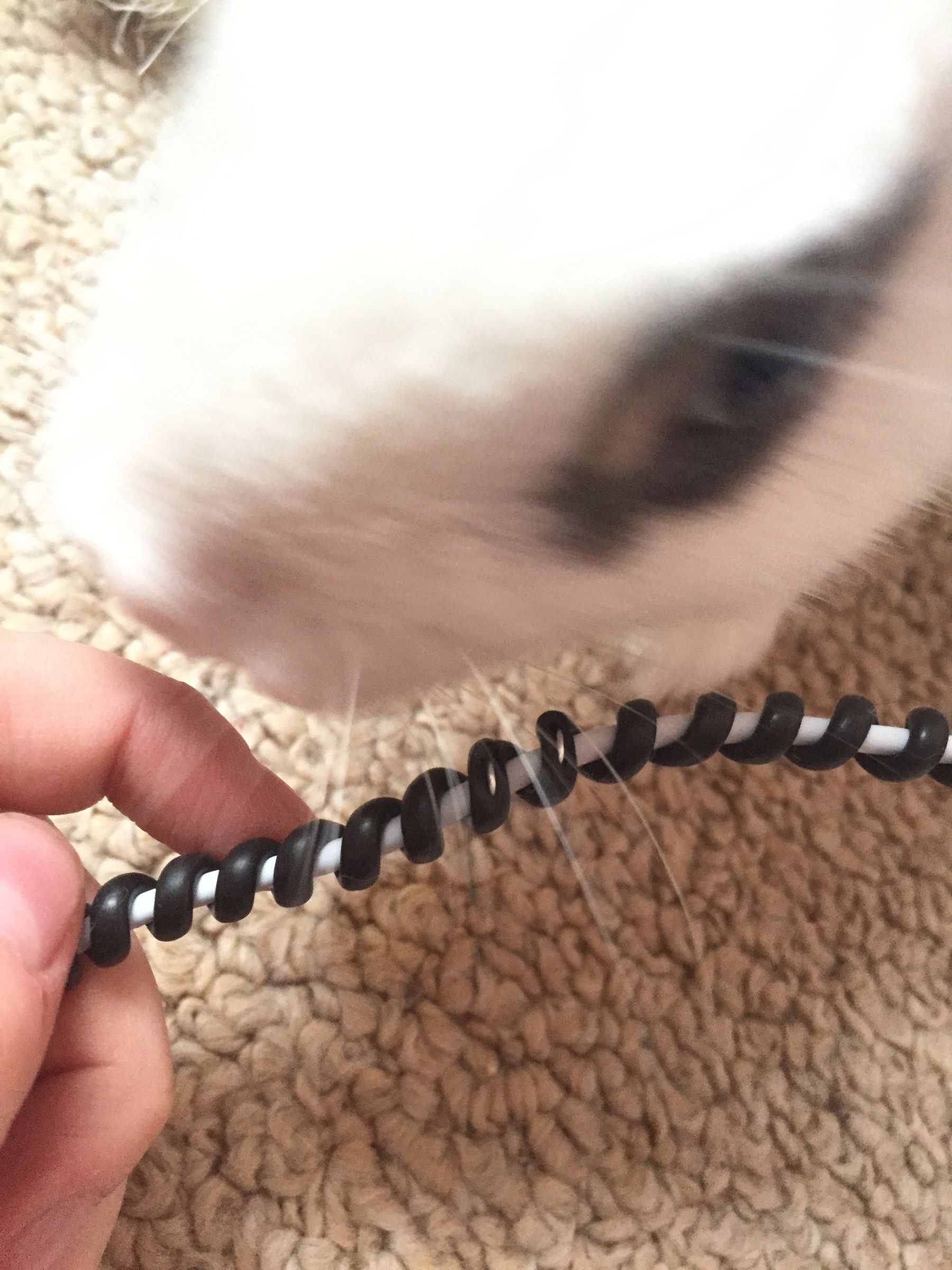 How to Stop Rabbits/animals Chewing Cords (with Pictures) Instructables