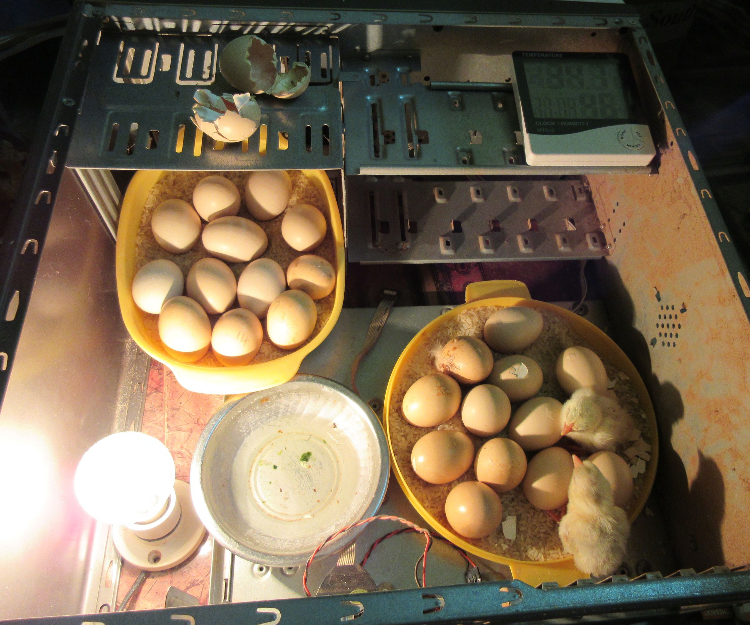 Home-made Incubator From Reclaimed Desktop Computer Case