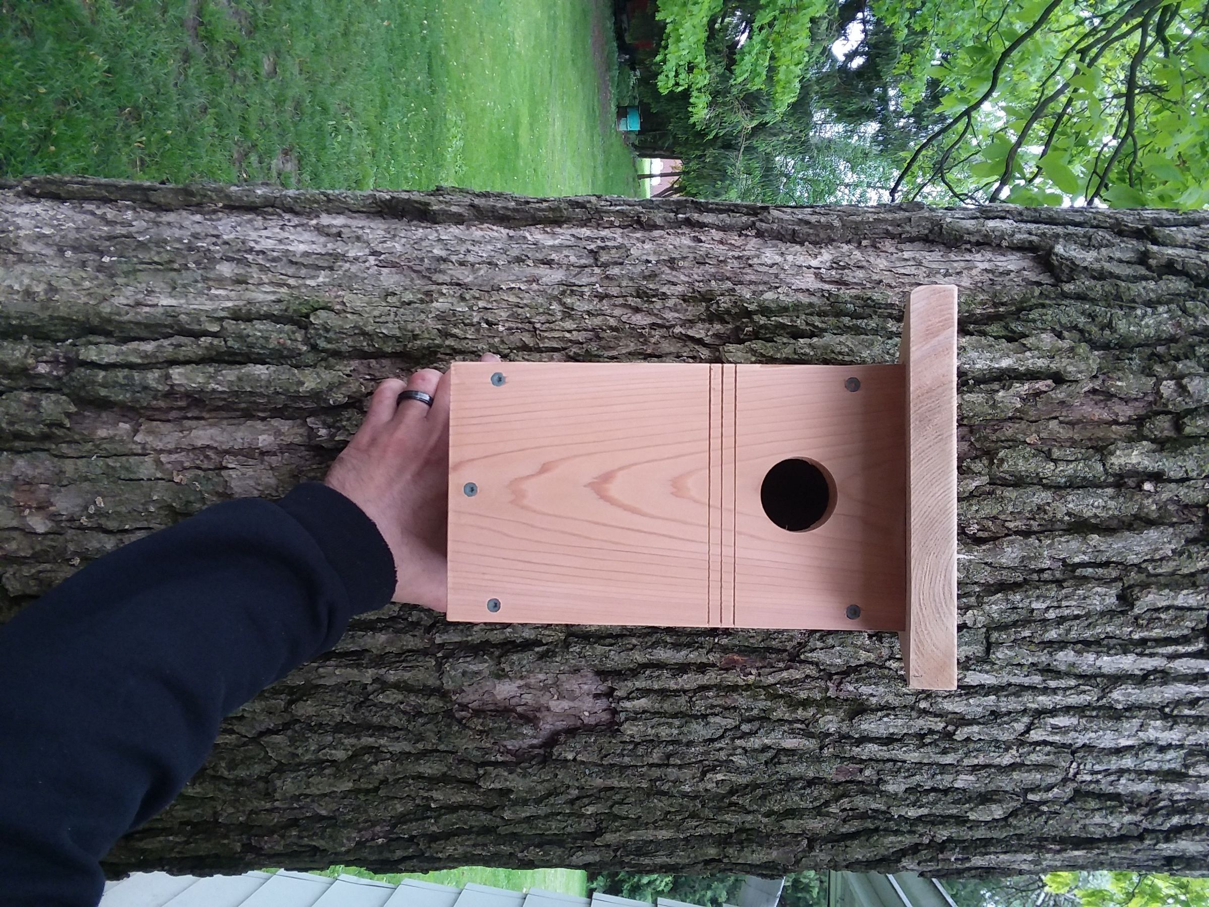 How to Build a Bluebird Birdhouse 12 Steps (with Pictures