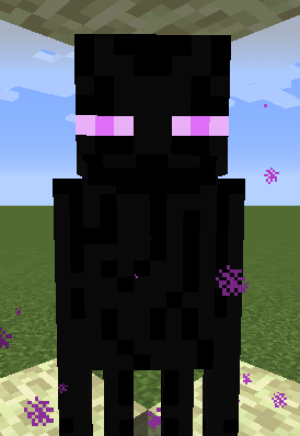Minecraft The Smaller Enderman Cage 9 Steps Instructables
