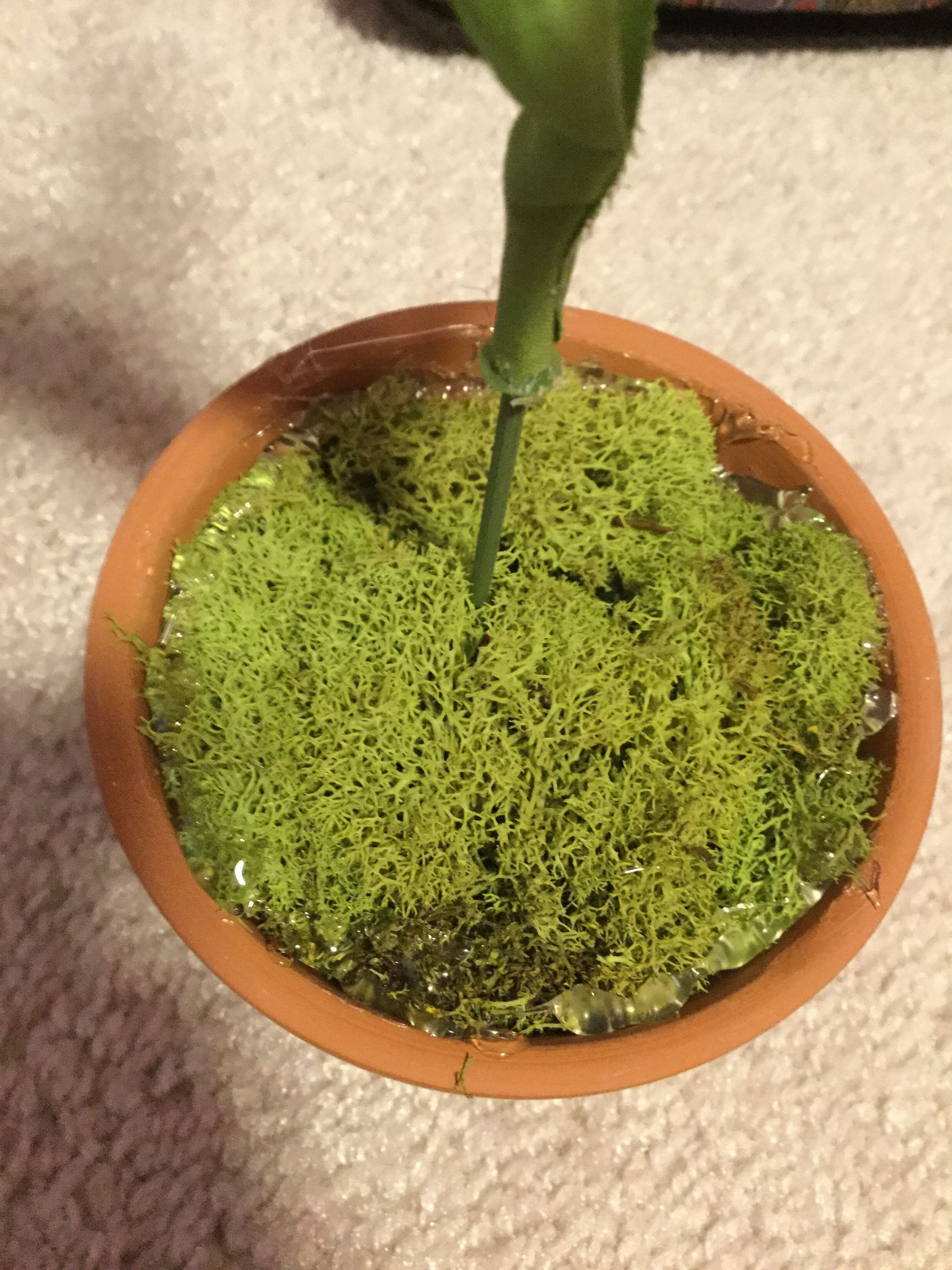 How to Make a Fake Potted Plant 4 Steps Instructables