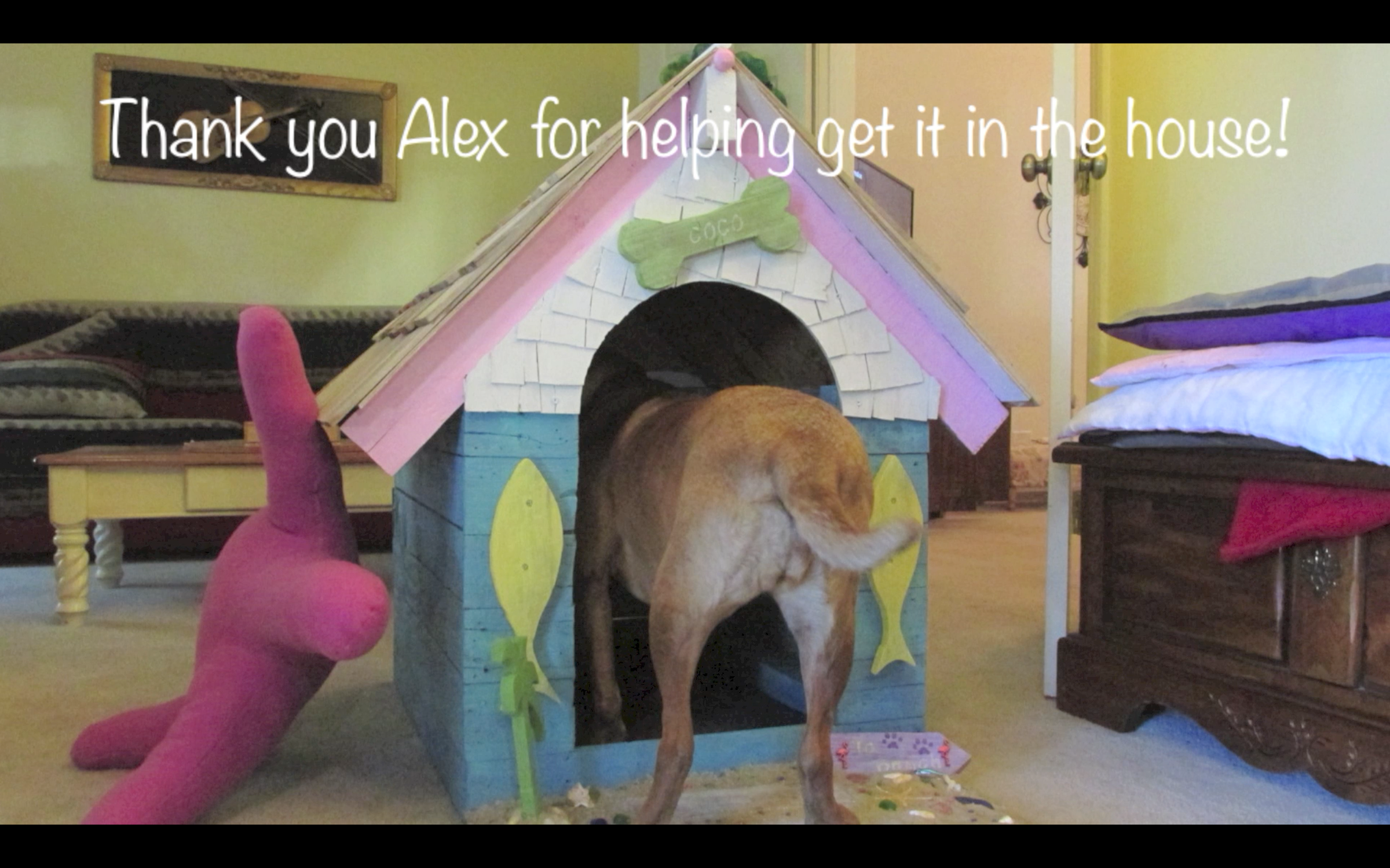 Doghouse Beach House DIY Using Recycled/Repurposed Materials 23