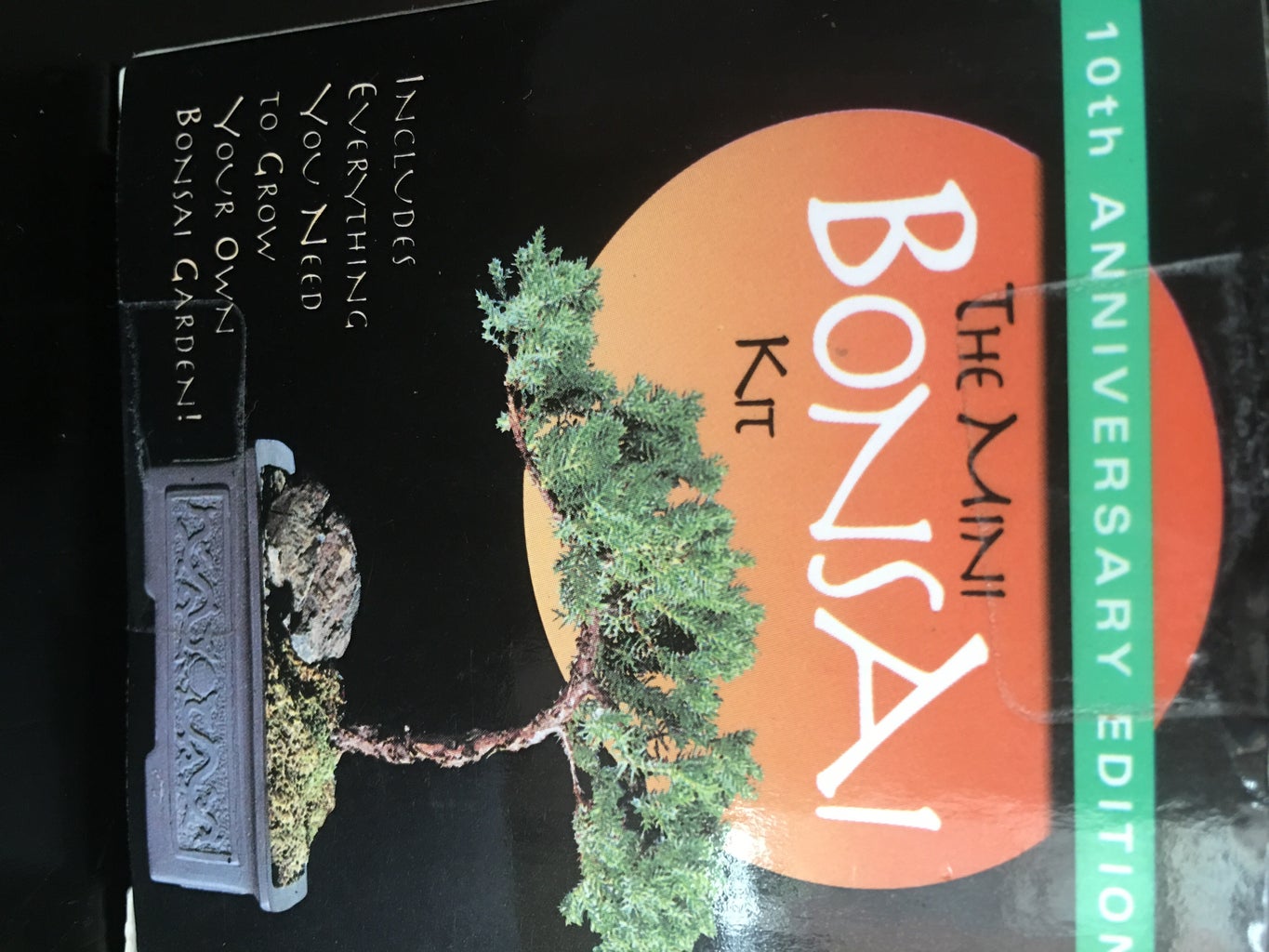 How To Grow A Bonsai Tree 4 Steps Instructables How To Grow A Bonsai Tree 4 Steps Instructables
