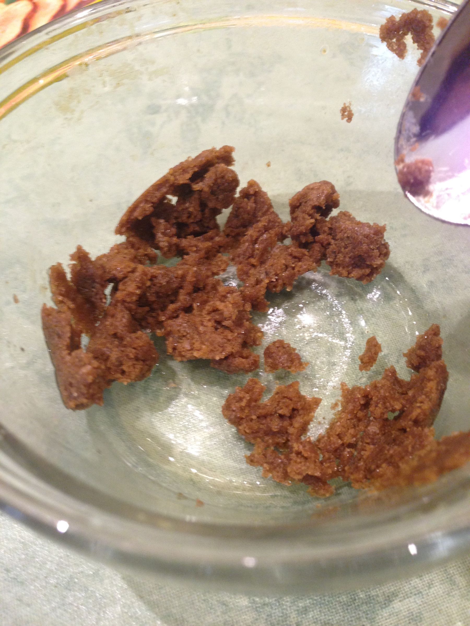 diy puppy toothpaste