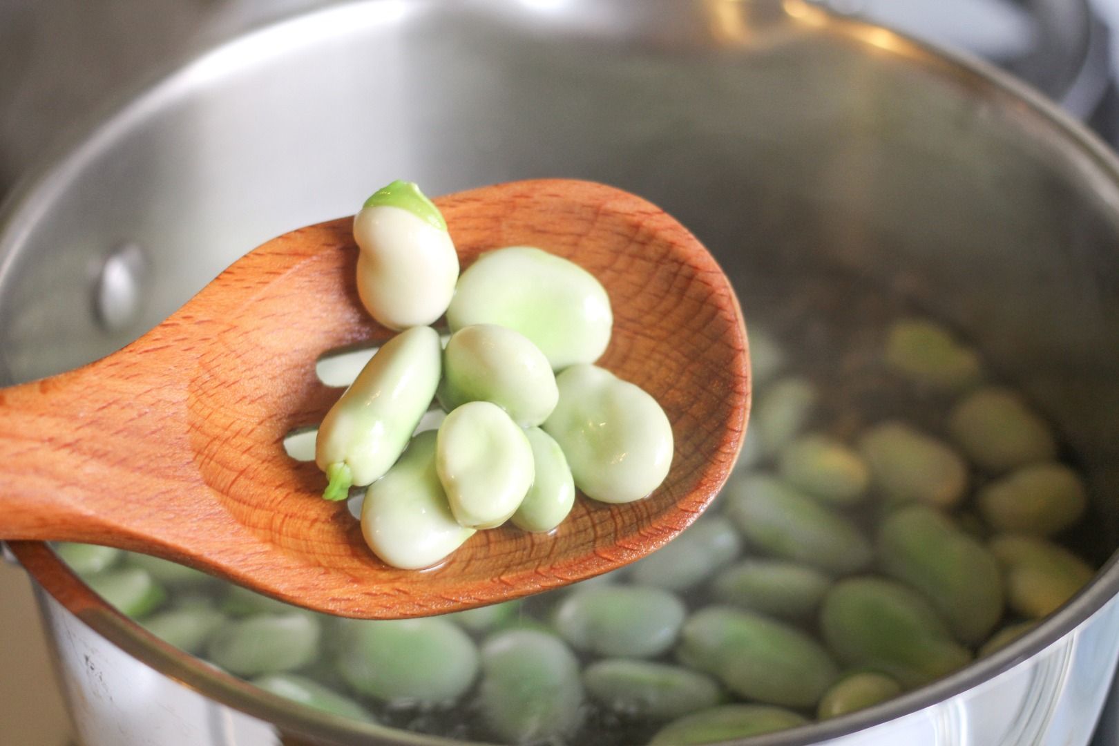 How to Cook Fava Beans 5 Steps (with Pictures) Instructables
