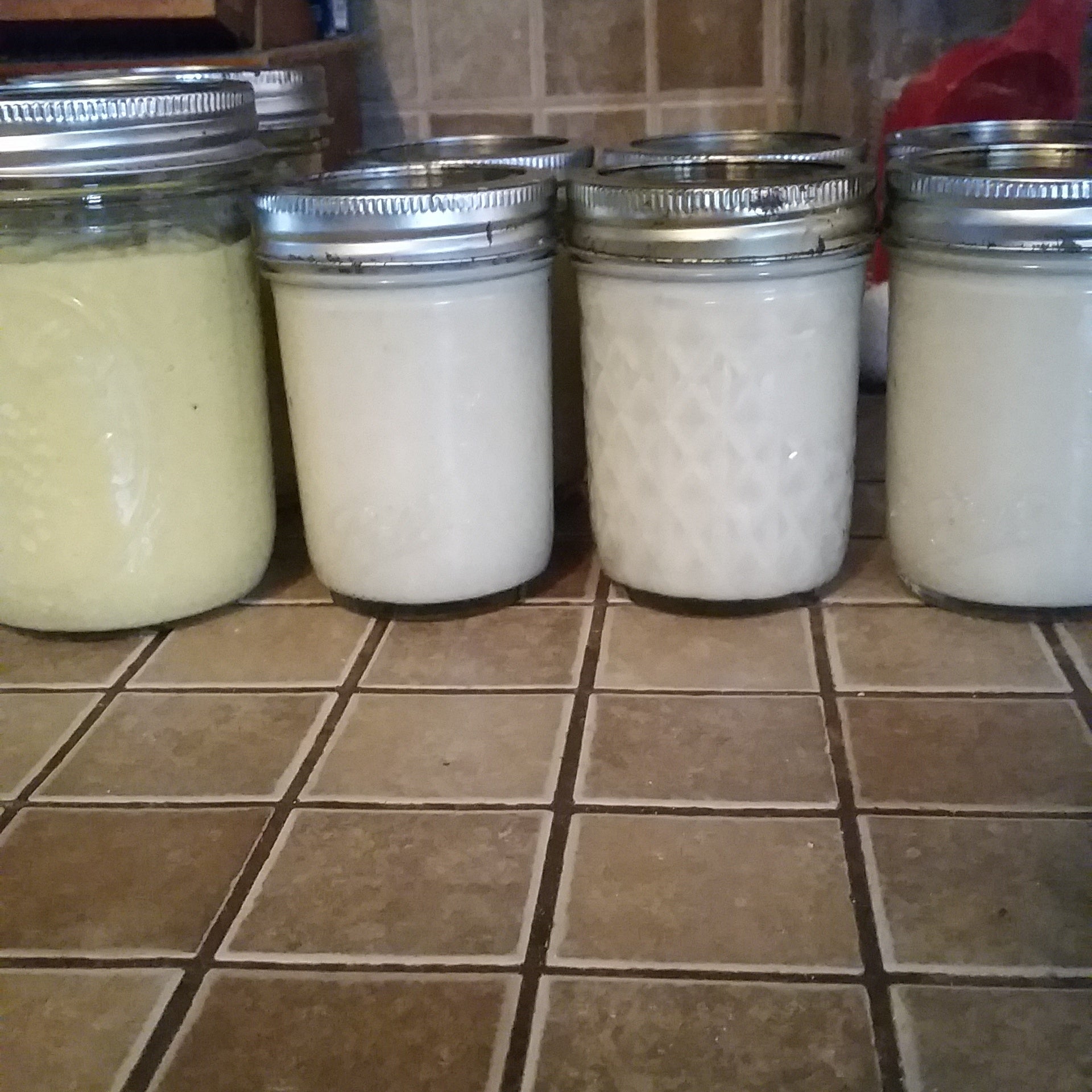 Canning Horseradish 4 Steps Instructables