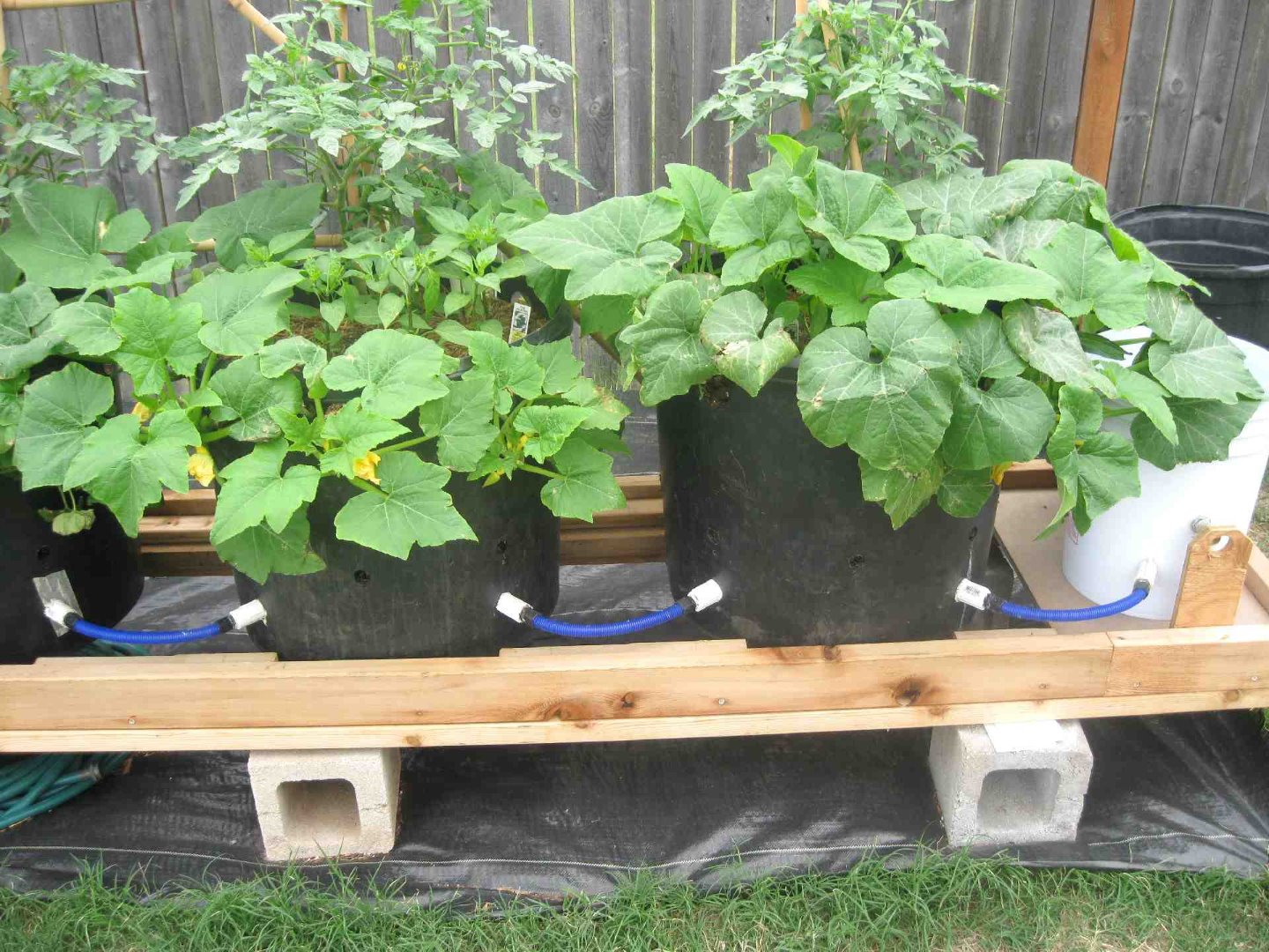 Sub Irrigation Planter Box 9 Steps (with Pictures) Instructables