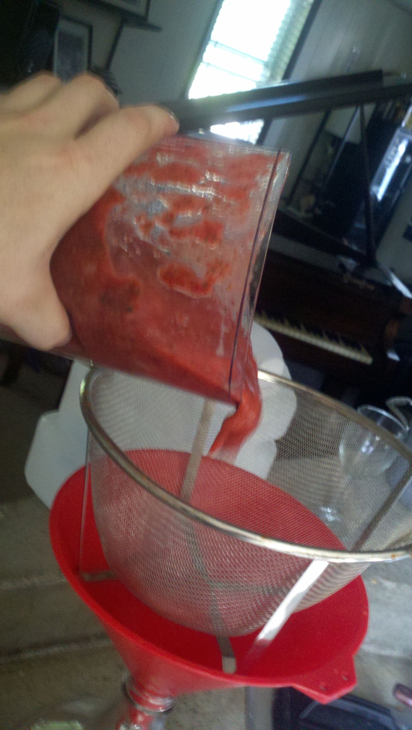 strawberry mead recipe 1 gallon