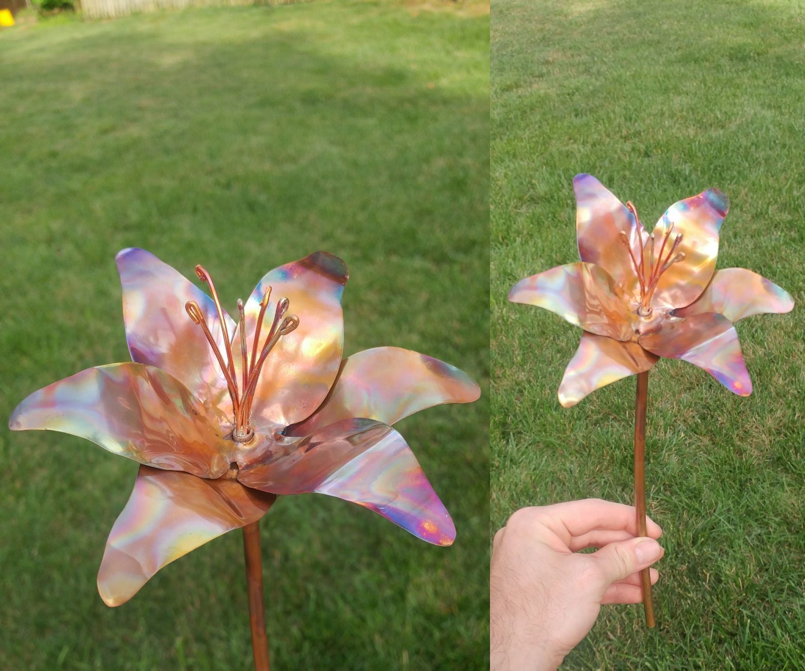 Rainbow Copper Flower