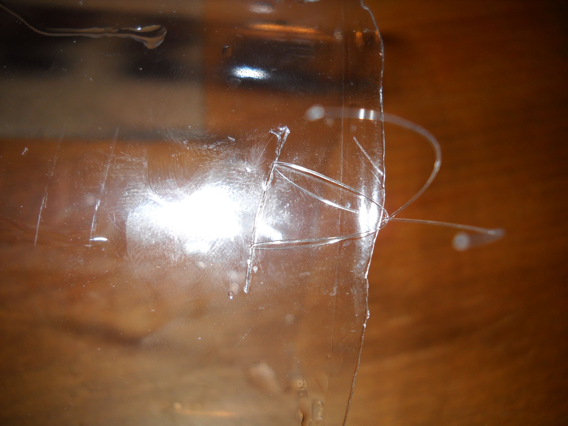 Mini Greenhouse for Seedlings Cat Proof! 9 Steps Instructables