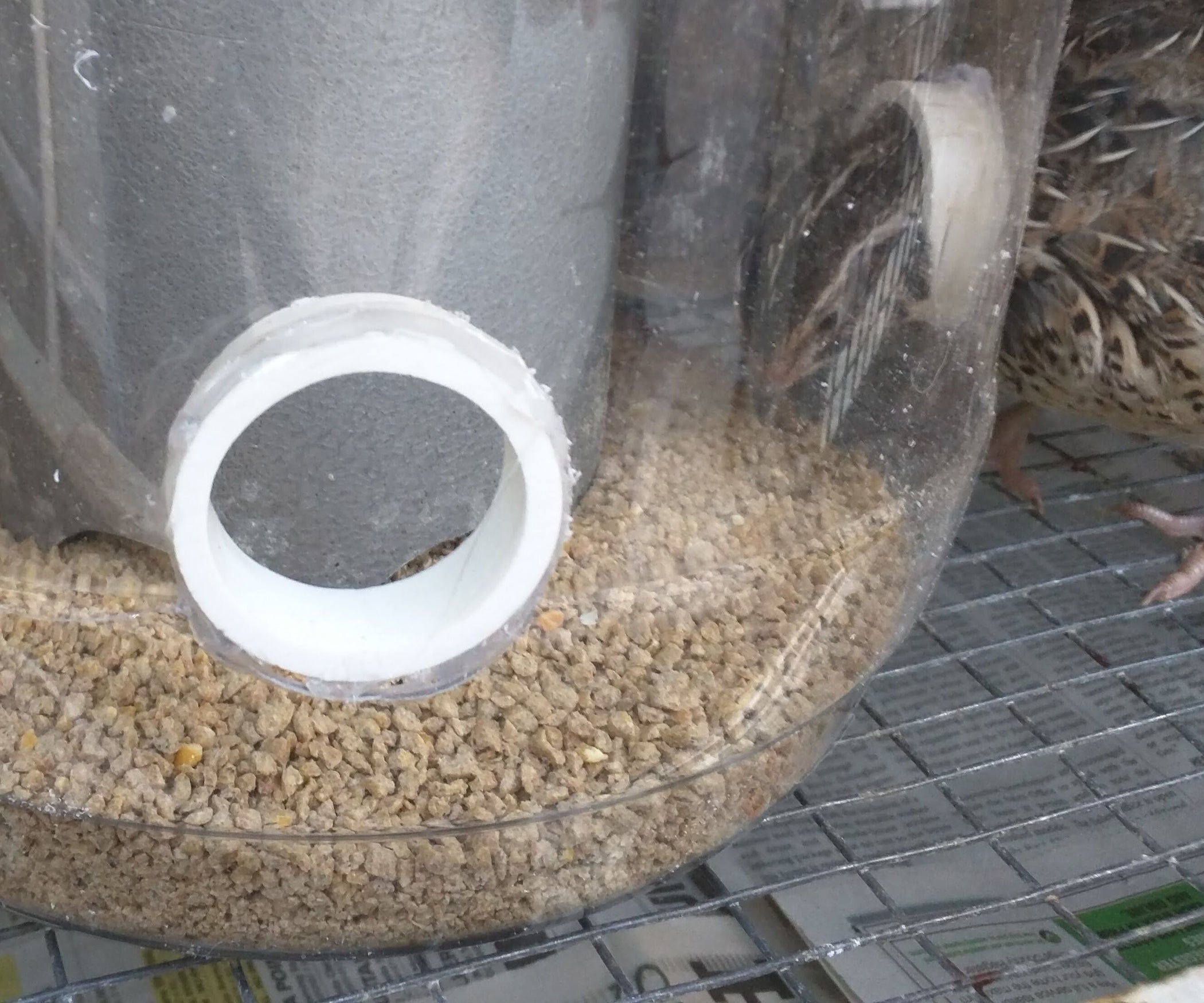 No Waste Quail Feeder 3 Steps (with Pictures) Instructables