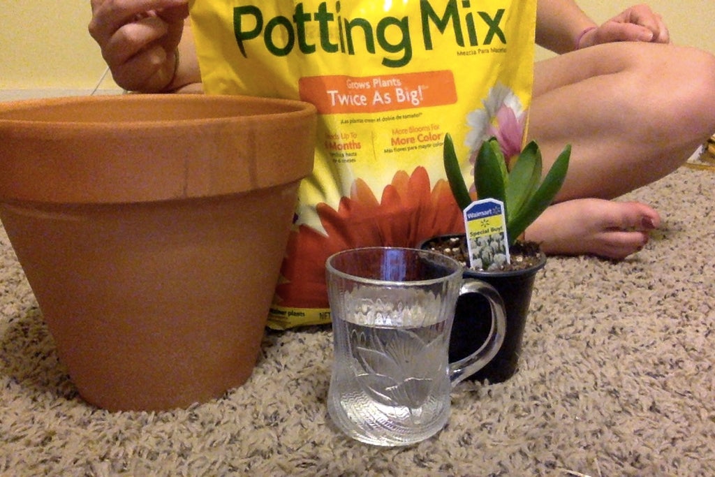 Planting A Flower English And Mandarin Chinese 种花 英文和中文 6 Steps Instructables Planting A Flower English And Mandarin Chinese 种花 英文和中文 6 Steps Instructables