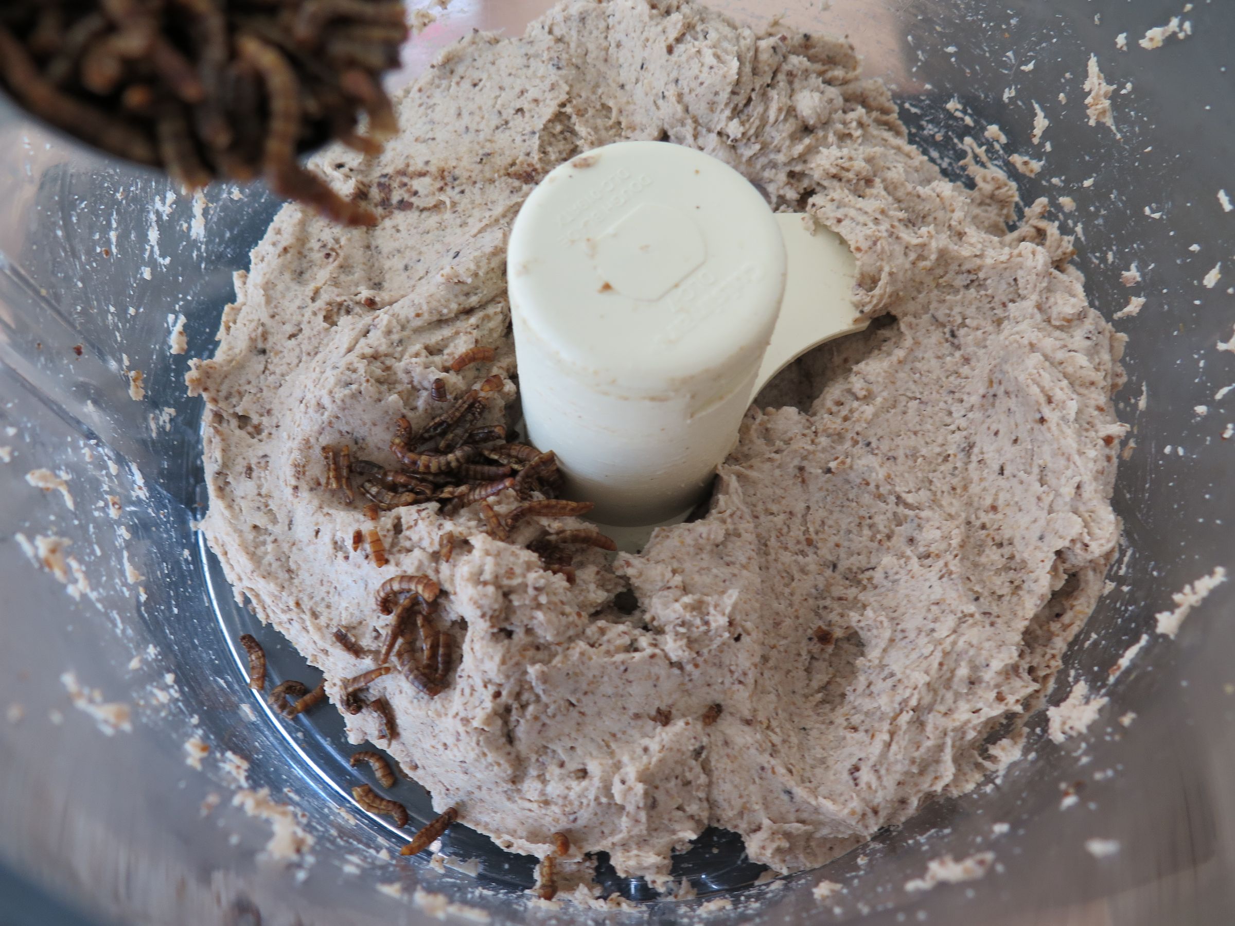 Mealworm French Bread.. Gluten Free 12 Steps (with Pictures