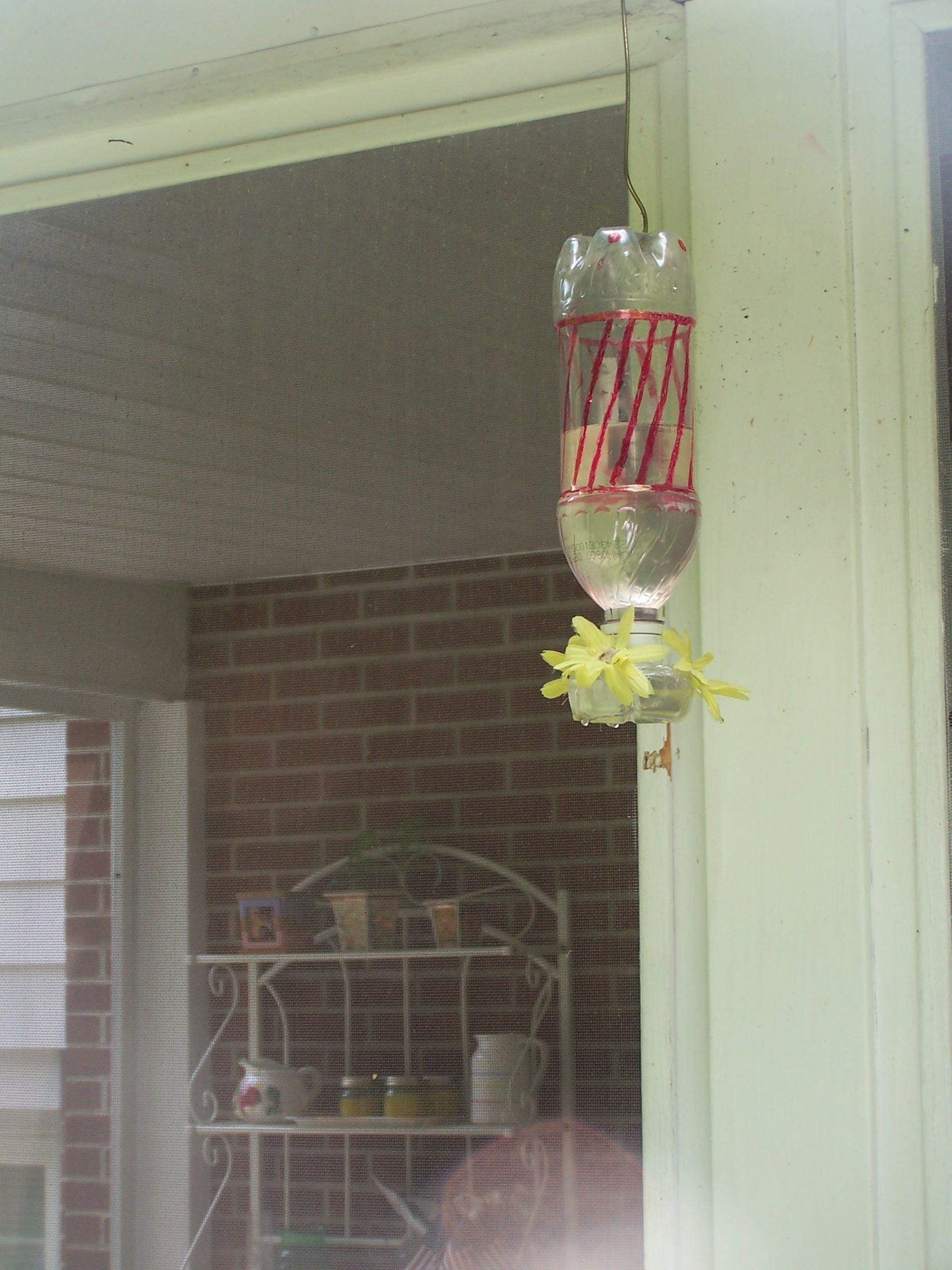 Hummingbirds Feeder, Food, & More! 11 Steps (with Pictures