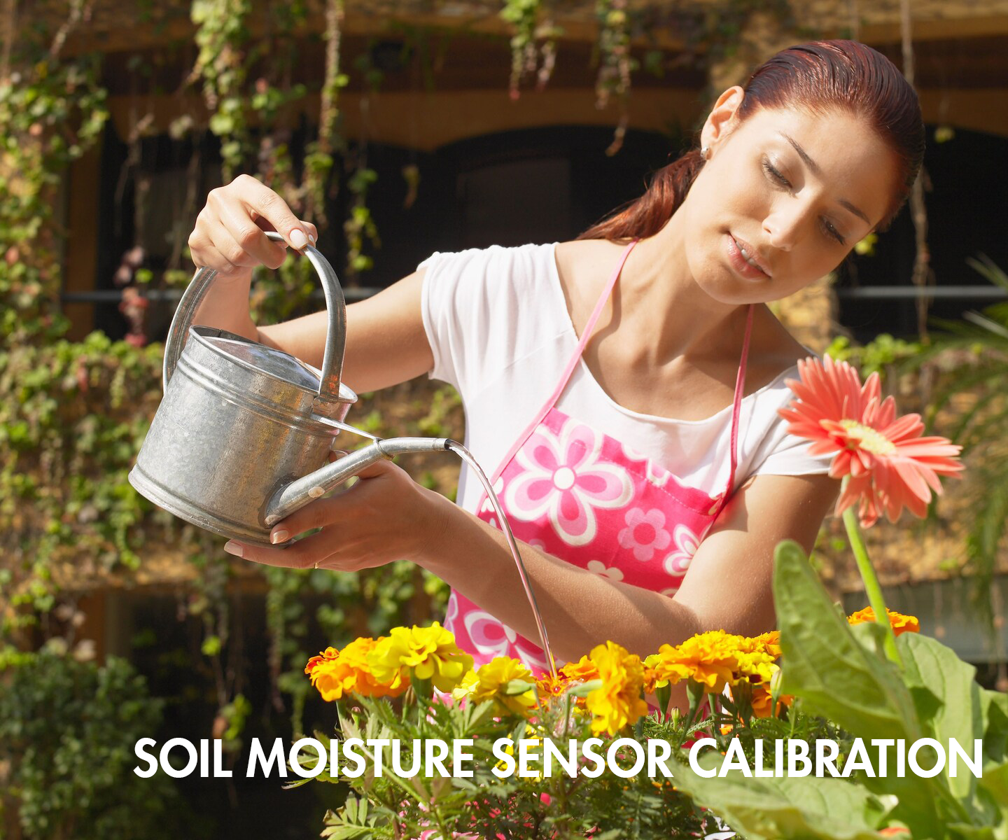 Soil Moisture Sensor Calibration : 5 Steps - Instructables