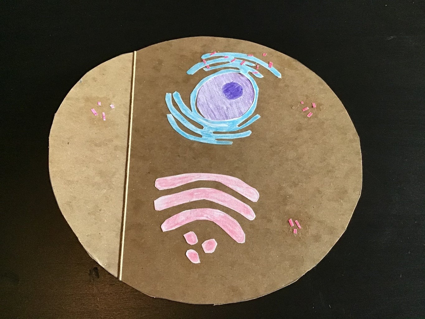 Build A Model Of A Human Cell : 8 Steps (With Pictures) - Instructables