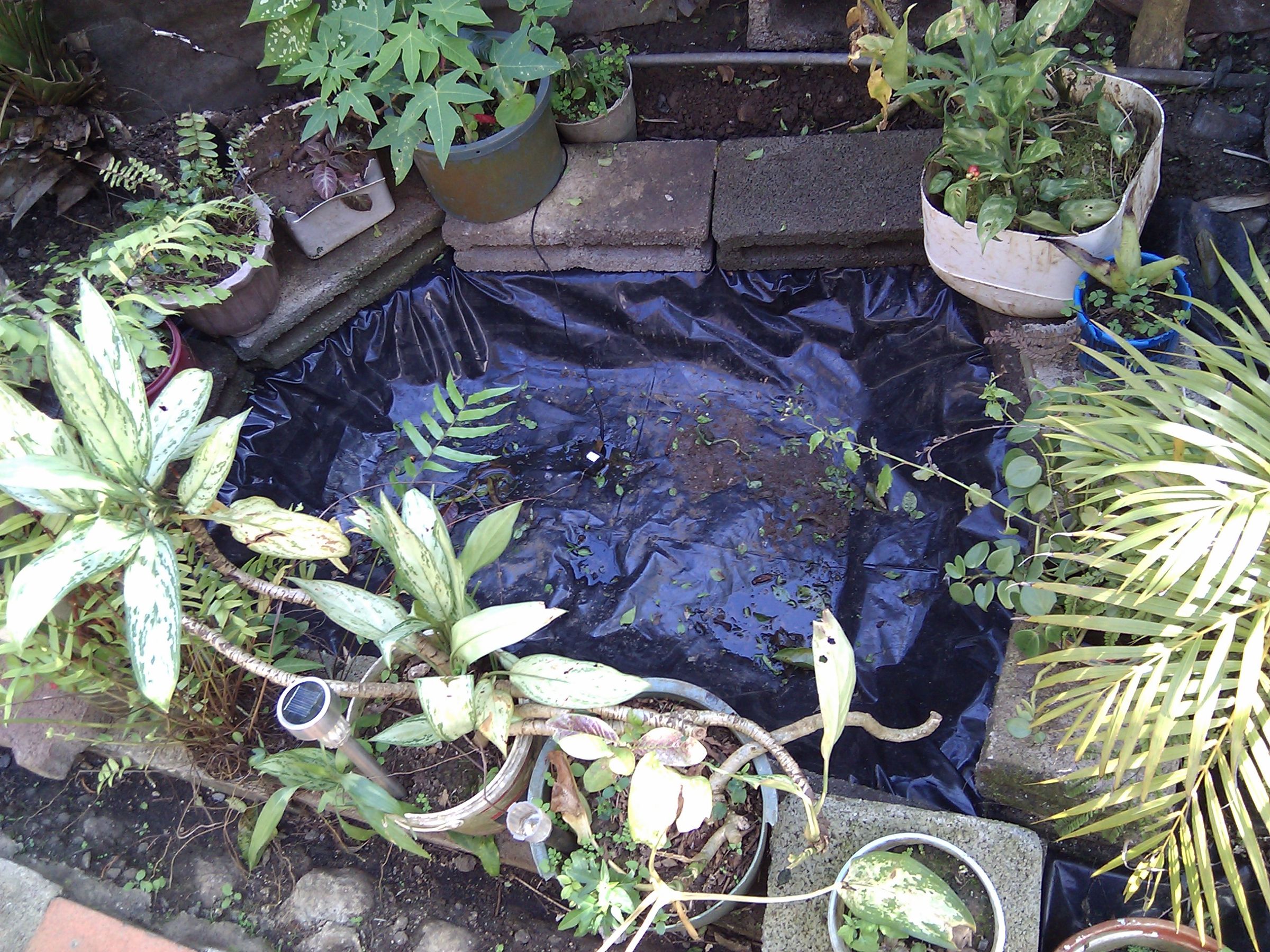 Concrete Pond 9 Steps (with Pictures) Instructables