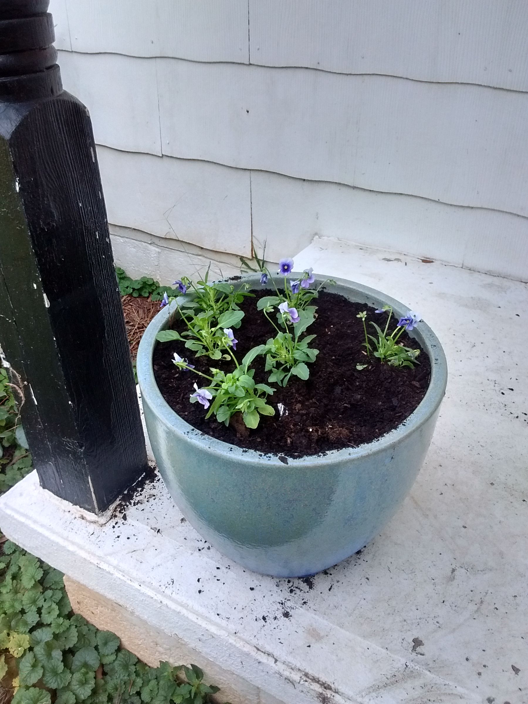 How to Compost Old Cotton TShirts 6 Steps (with Pictures