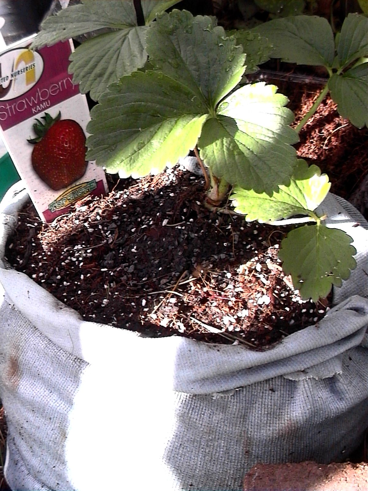 Sew a GrowBag or Upside Down Planter Bag (with Pictures) Instructables