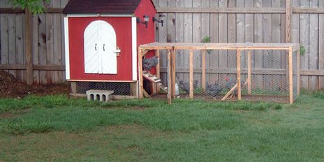 Homesteading